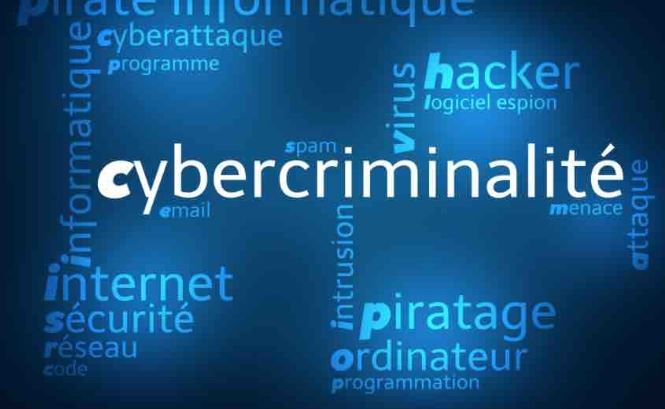 Comment lutter contre la cybercriminalité ?